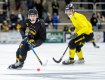 SEGER MOT VETLANDA