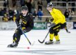 SEGER MOT VETLANDA